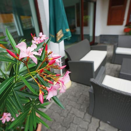 Landhotel Gasthof Zwota Klingenthal Exterior foto