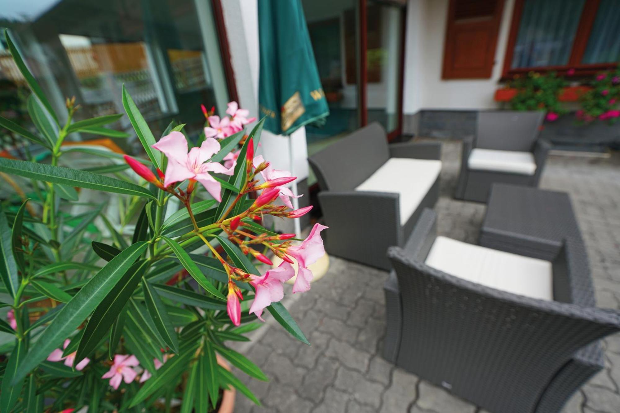 Landhotel Gasthof Zwota Klingenthal Exterior foto